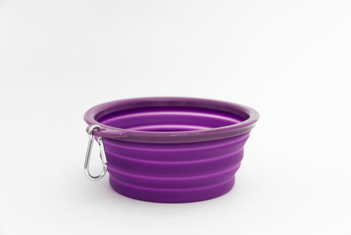 Collapsible Water Bowl - Purple