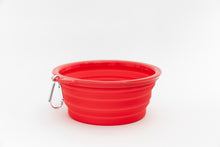 Collapsible Water Bowl - Black
